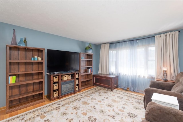 739 Pre Emption Rd, Geneva-City, NY 14456 - living area featuring a fireplace and wood finished floors