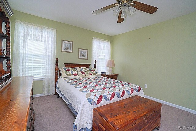 bedroom featuring baseboards, carpet flooring, and multiple windows