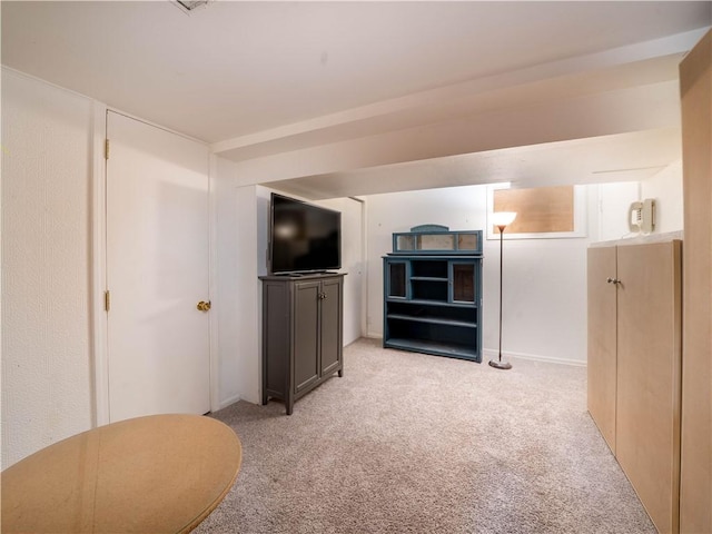 interior space with light colored carpet
