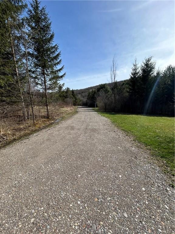 1128 County Road 16, Smyrna, NY 13464