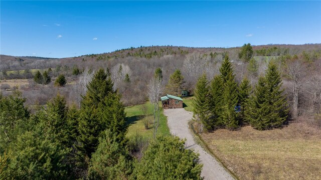 1128 County Road 16, Smyrna, NY 13464