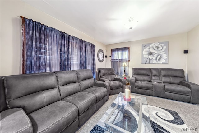 living area with carpet