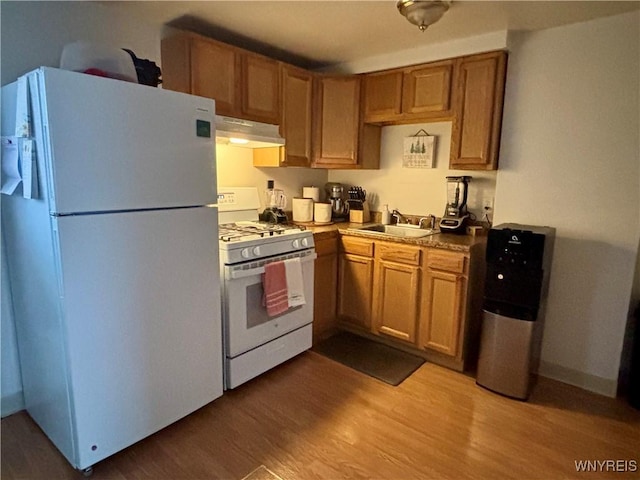 kitchen with a sink, wood finished floors, white appliances, brown cabinetry, and under cabinet range hood