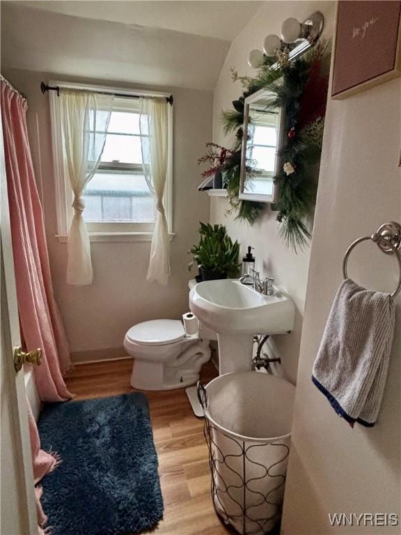 bathroom with curtained shower, wood finished floors, a wealth of natural light, and toilet