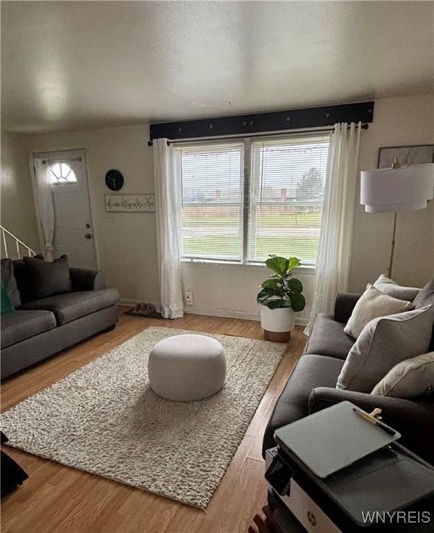 living area featuring wood finished floors