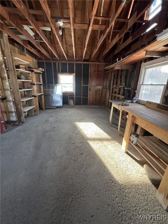 misc room featuring carpet floors