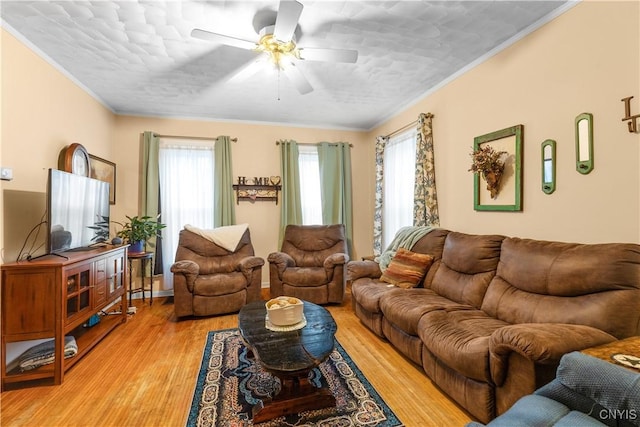 601 W Thomas St, Rome-Inside, NY 13440 - living room with light wood-type flooring, crown molding, ceiling fan, and a healthy amount of sunlight
