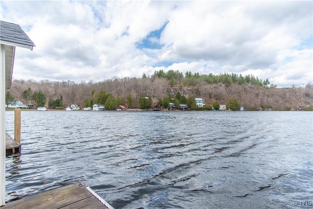view of dock with a view of trees and a water view