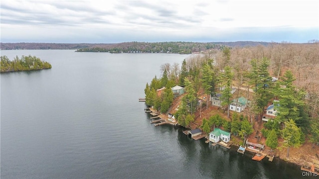 birds eye view of property with a forest view and a water view