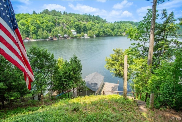 14204 S Bonaparte Rd, Diana, NY 13648 - water view featuring a boat dock and a heavily wooded area