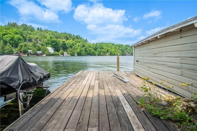 14204 S Bonaparte Rd, Diana, NY 13648 - dock with a water view and a forest view