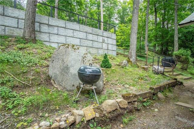 14204 S Bonaparte Rd, Diana, NY 13648 - view of yard