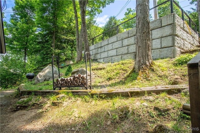 14204 S Bonaparte Rd, Diana, NY 13648 - view of yard
