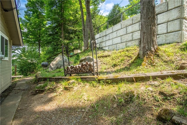 14204 S Bonaparte Rd, Diana, NY 13648 - view of yard
