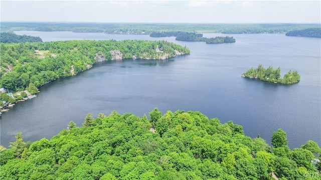 14204 S Bonaparte Rd, Diana, NY 13648 - drone / aerial view of a nearby body of water