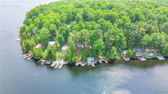 14204 S Bonaparte Rd, Diana, NY 13648 - aerial overview of property's location with a nearby body of water