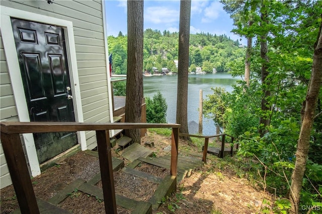 14204 S Bonaparte Rd, Diana, NY 13648 - water view featuring a forest