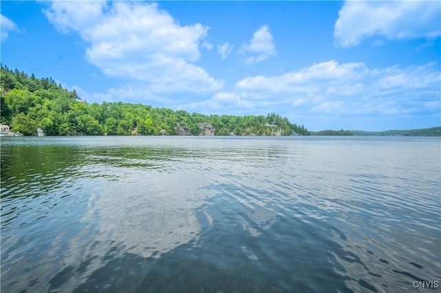 14204 S Bonaparte Rd, Diana, NY 13648 - water view featuring a heavily wooded area