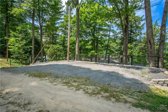 14204 S Bonaparte Rd, Diana, NY 13648 - view of dirt / gravel road