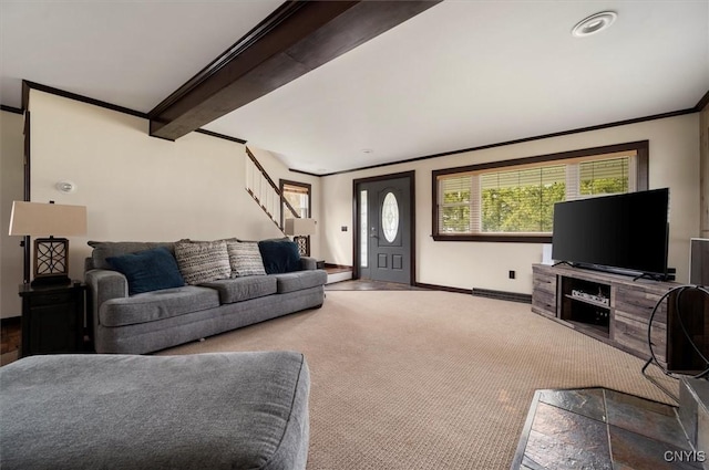 carpeted living room with stairway, baseboards, crown molding, and beam ceiling