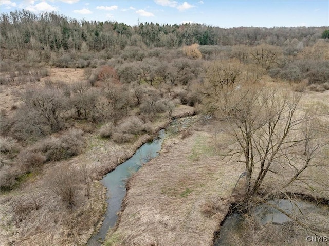 view of local wilderness