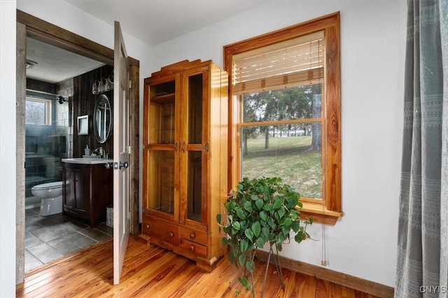interior space featuring baseboards, wood finished floors, vanity, and toilet