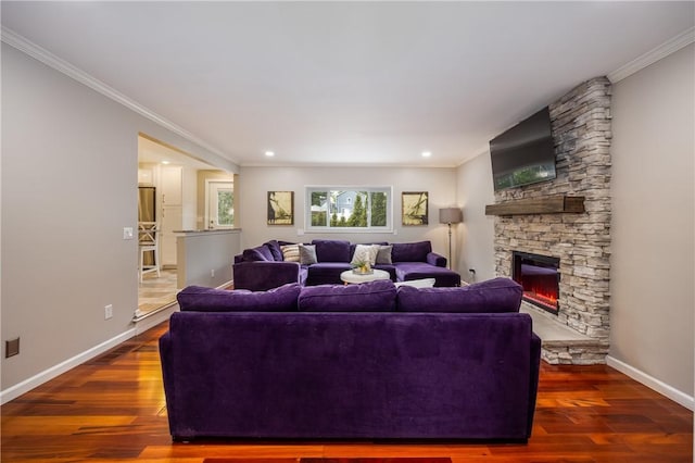 living area with ornamental molding, wood finished floors, and a fireplace
