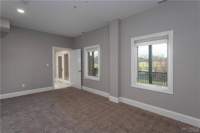 35 Ojibwa Cir, Buffalo, NY 14202 - spare room with a healthy amount of sunlight, carpet flooring, and baseboards