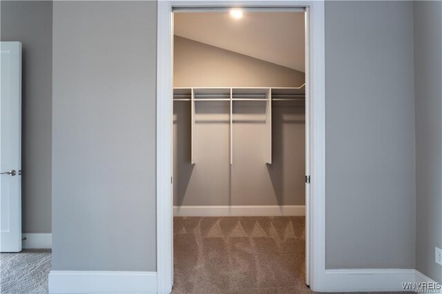 35 Ojibwa Cir, Buffalo, NY 14202 - spacious closet featuring vaulted ceiling and carpet