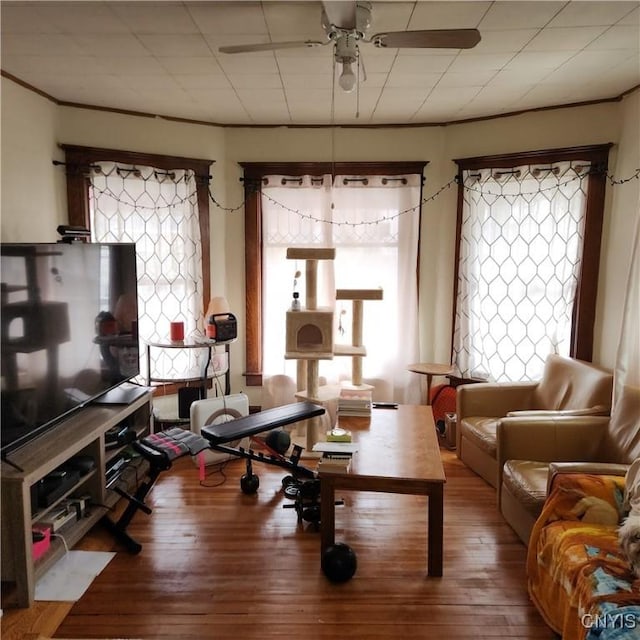 417 Otsego St, German Flatts, NY 13357 - living room with ceiling fan, wood-type flooring, and plenty of natural light