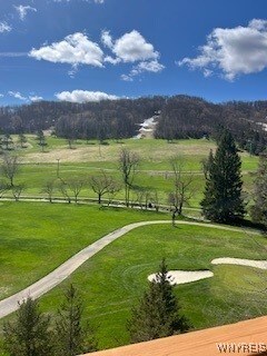 6447 Holiday Valley Rd Unit 417/419-2, Ellicottville, NY 14731 - photo 11