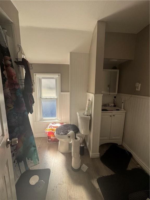 full bath featuring wainscoting, wood finished floors, and a sink