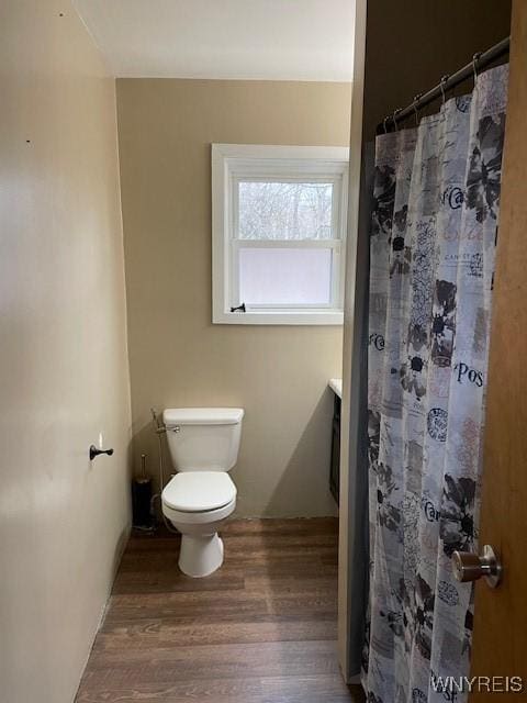 13289 Lakeview Dr, Carlton, NY 14571 - full bathroom featuring a shower with curtain, wood finished floors, vanity, and toilet