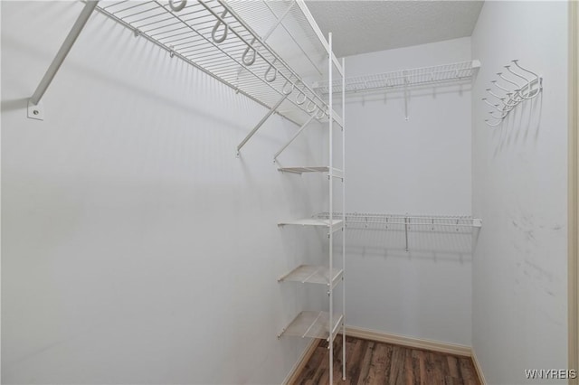 spacious closet with wood finished floors