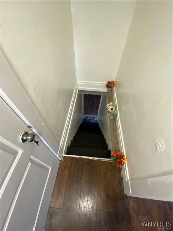 stairs featuring wood finished floors