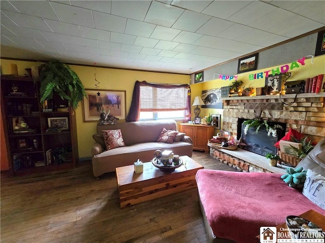 living area featuring wood-type flooring and a fireplace