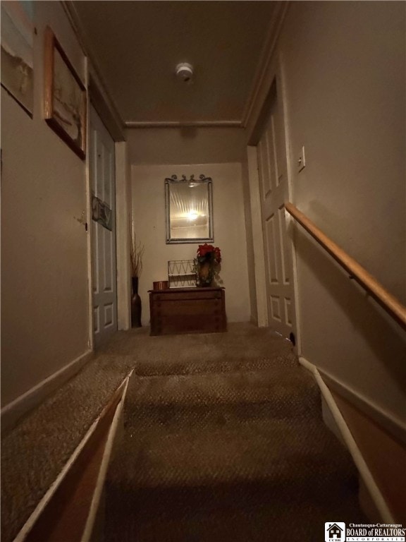 stairs with carpet flooring