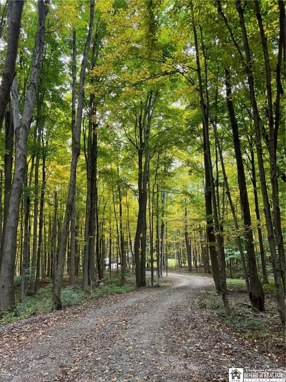 view of street featuring a forest view