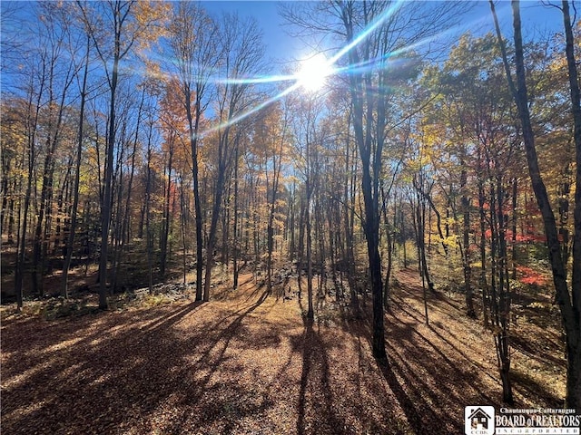 view of nature featuring a view of trees