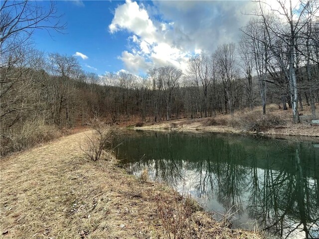 651 Dennis Hill Rd, Harrison, PA 16948 - water view with a forest