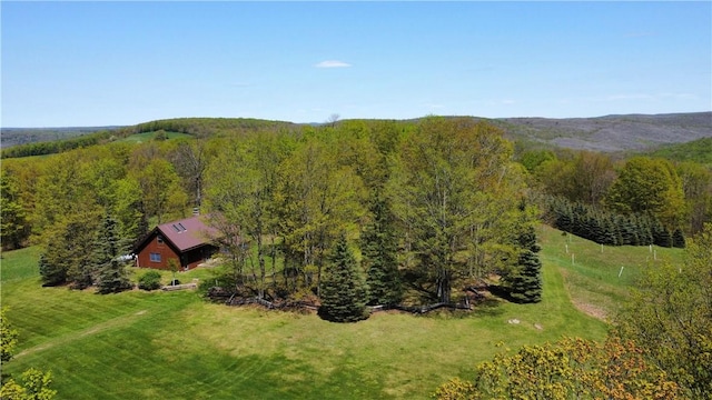 651 Dennis Hill Rd, Harrison, PA 16948 - aerial view of property and surrounding area with a forest
