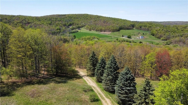 651 Dennis Hill Rd, Harrison, PA 16948 - drone / aerial view of a forest