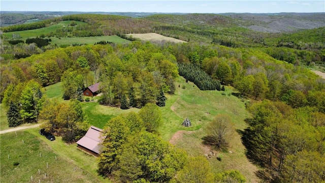 651 Dennis Hill Rd, Harrison, PA 16948 - bird's eye view of a forest