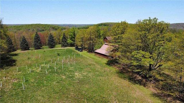 651 Dennis Hill Rd, Harrison, PA 16948 - view of subject property featuring a heavily wooded area