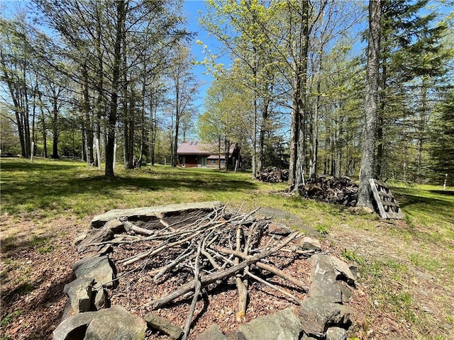 651 Dennis Hill Rd, Harrison, PA 16948 - view of green lawn