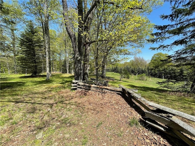 651 Dennis Hill Rd, Harrison, PA 16948 - view of green lawn featuring a forest view