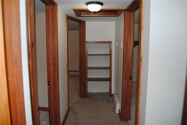 230 Birch St, Kane-Borough, PA 16735 - corridor with carpet flooring