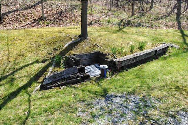9221 Health St, North Dansville, NY 14437 - view of yard