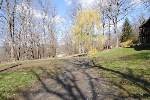 9221 Health St, North Dansville, NY 14437 - view of street