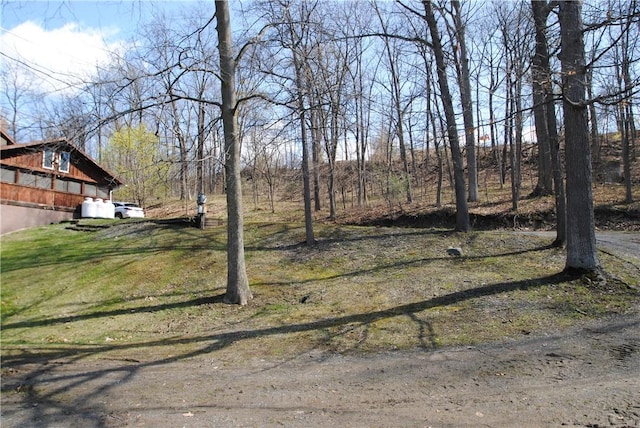 9221 Health St, North Dansville, NY 14437 - view of yard